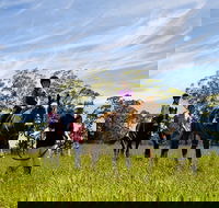 Port Macquarie Horse Riding Centre - Attractions Brisbane