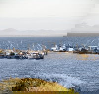 Portarlington - Attractions Brisbane