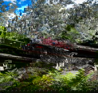 Puffing Billy Railway - Attractions Brisbane