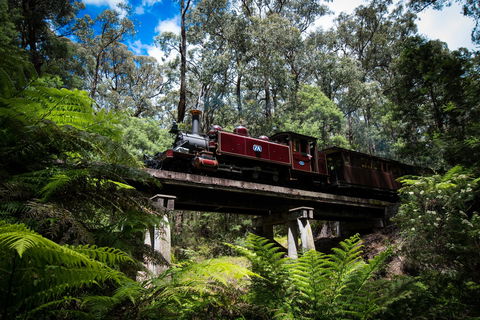 Puffing Billy Railway - Attractions Brisbane 0