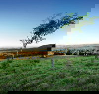 Ravensbourne National Park - Attractions Brisbane