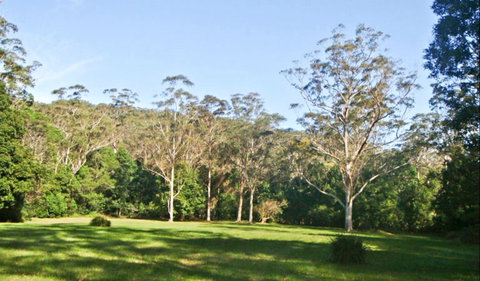 Red Cedar Flat Picnic Area - Attractions Brisbane 0