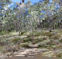 Reef Hills State Park - Attractions Brisbane