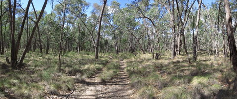Reef Hills State Park - Attractions Brisbane 0