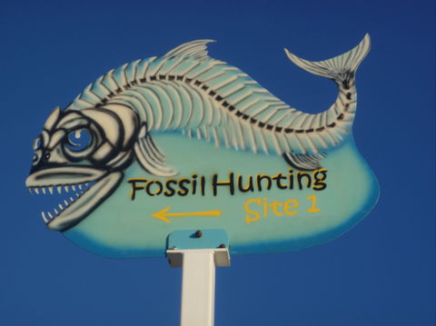 Richmond Fossil Hunting Sites - Attractions Brisbane 1
