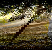 Ruffey Lake Park - Attractions Brisbane