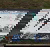 Settlement Point Viewing Platform - Attractions Brisbane
