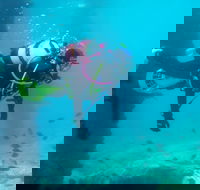 Shellharbour Scuba  and Photography Centre - Attractions Brisbane