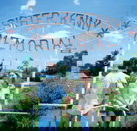 Sister Kenny Memorial Nobby - Attractions Brisbane