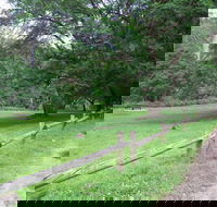 St Albans Reserve - Attractions Brisbane