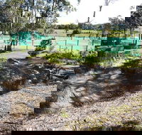 Tactical Paintball Games - Attractions Brisbane