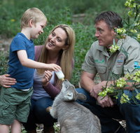 Tamworth Marsupial Park and Adventure Playground - Attractions Brisbane