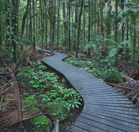 The Channon Protesters Falls Nimbin and Mount Nardi - Attractions Brisbane
