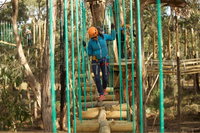 Trees Adventure Yeodene Park