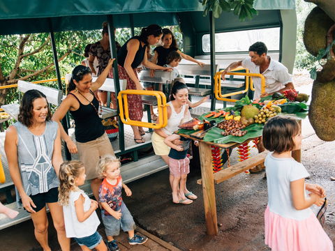 Tropical Fruit World - Attractions Brisbane 2