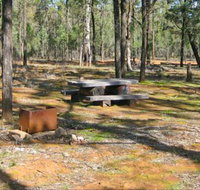 Two Dams picnic area - Attractions Brisbane