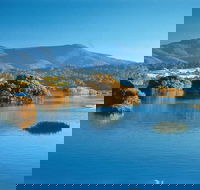 Wagonga Picnic Area - Attractions Brisbane