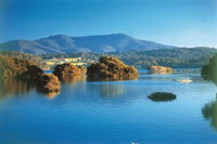 Wagonga Picnic Area