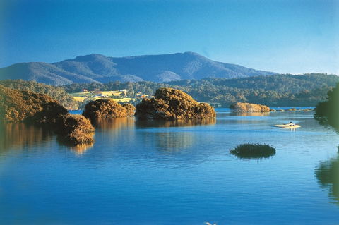 Wagonga Picnic Area - Attractions Brisbane 0