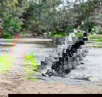 Warrandyte River Reserve - Attractions Brisbane