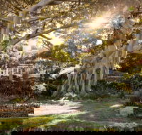 Wendy Whiteley's Secret Garden - Attractions Brisbane