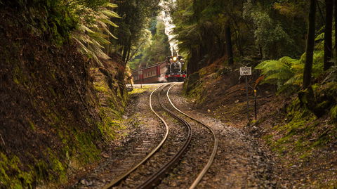 West Coast - Attractions Brisbane 0