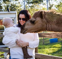 White Ridge Farm - Attractions Brisbane