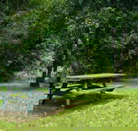 Williams River picnic area - Attractions Brisbane
