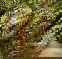William Ricketts Sanctuary - Attractions Brisbane