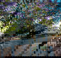 Witcombe Fountain - Attractions Brisbane