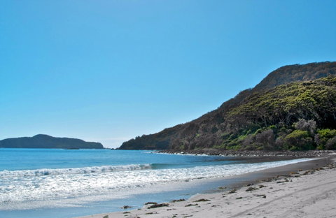 Yacaaba Headland Walking Track - Attractions Brisbane 0
