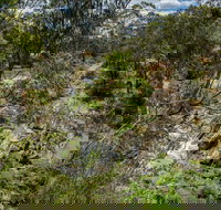 Yarrambat Park - Attractions Brisbane