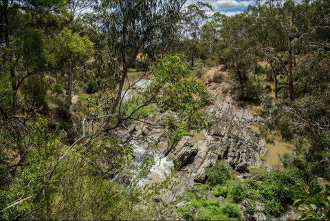 Yarrambat Park - Attractions Brisbane 0