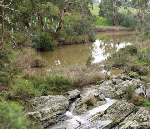 Yarrambat Park - Attractions Brisbane 1