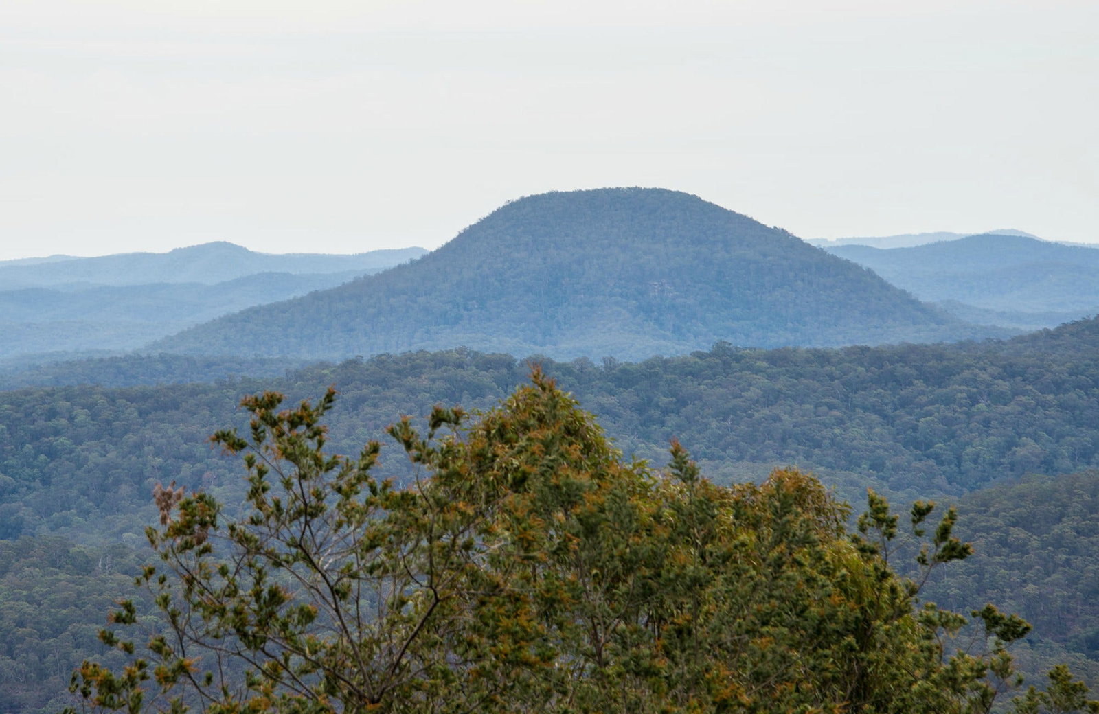 Abernethy NSW Attractions Brisbane