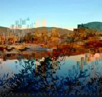 Allan's Flat Reserve - Attractions Brisbane