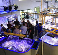Australian Institute of Marine Science - Attractions Brisbane