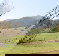 Banimboola Creek Rest Area - Attractions Brisbane