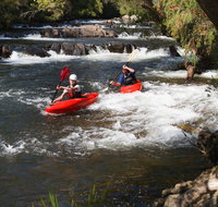 Barrington River - Attractions Brisbane
