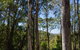 Basin Loop Track - thumb 0
