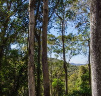 Basin Loop Track - Attractions Brisbane