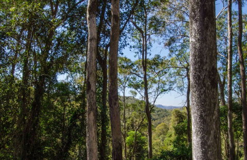 Basin Loop Track - Attractions Brisbane 0