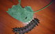 Batchelor Butterfly Farm & Pet Garden - thumb 0