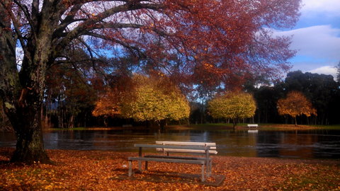 Bells Parade Reserve - Attractions Brisbane 0