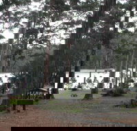 Big Brook Arboretum - Attractions Brisbane