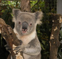 Birdland Animal Park - Attractions Brisbane