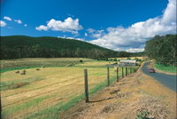Blackwood River Tourist Drive