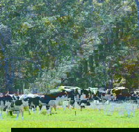 Boyanup - Attractions Brisbane