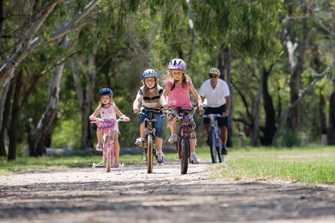 Braeside Park - Attractions Brisbane 1