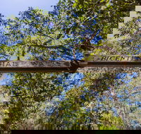 Bribie Island Bicentennial Trails - Attractions Brisbane